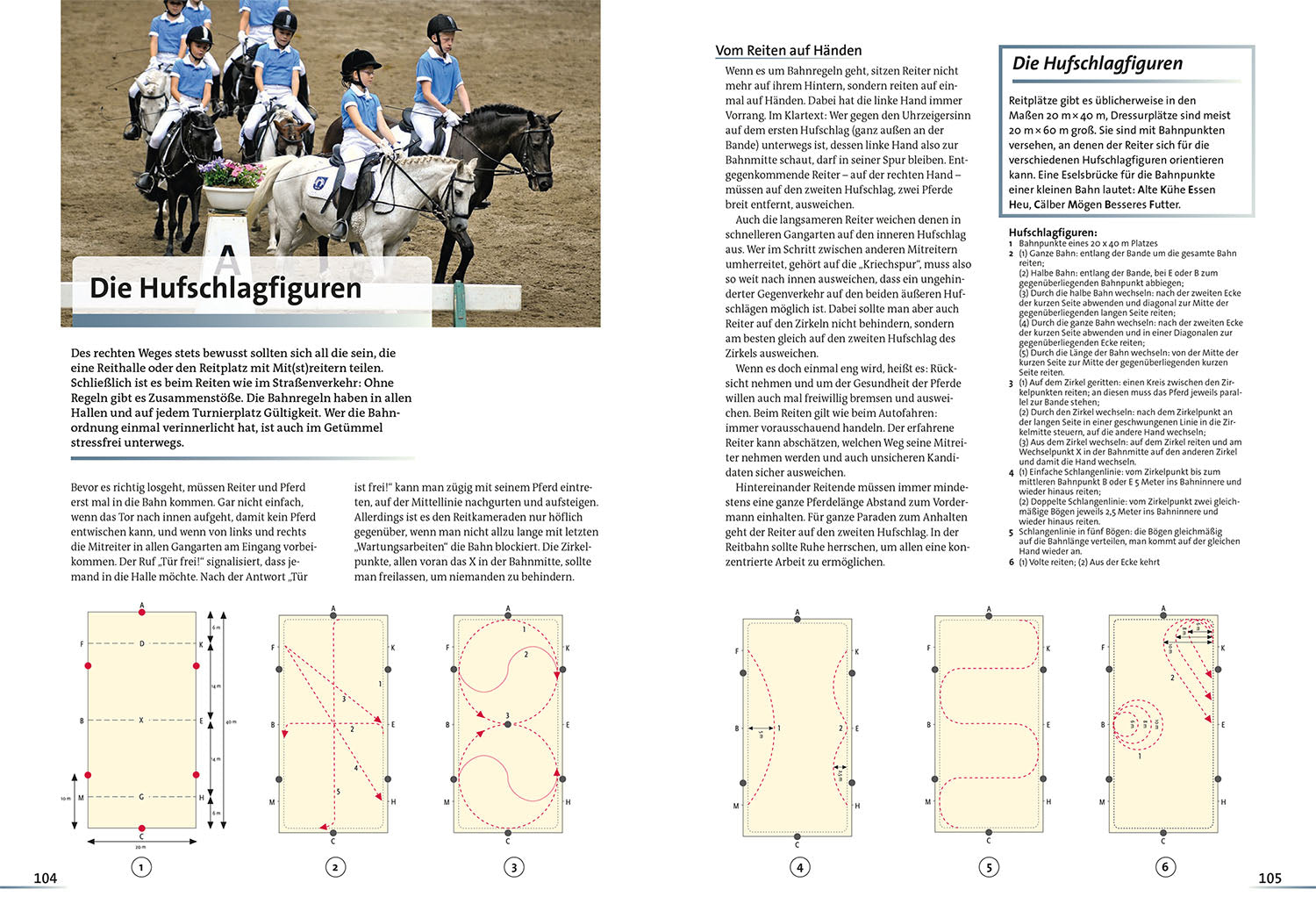 All About Horses