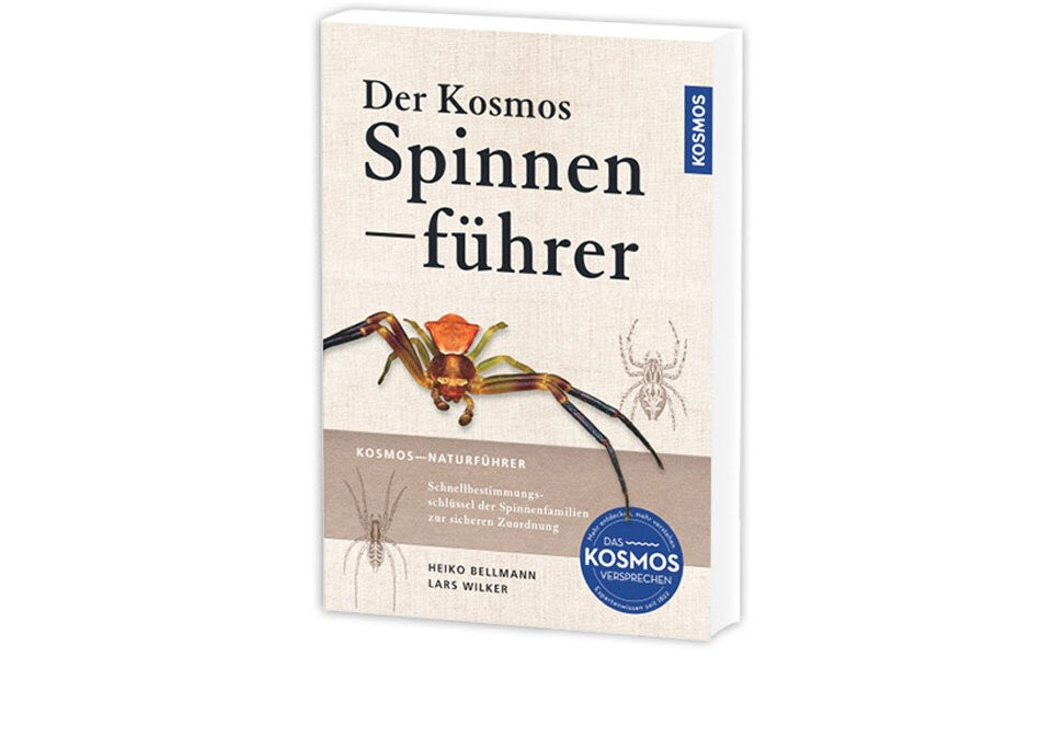 Artenvielfalt auf acht Beinen