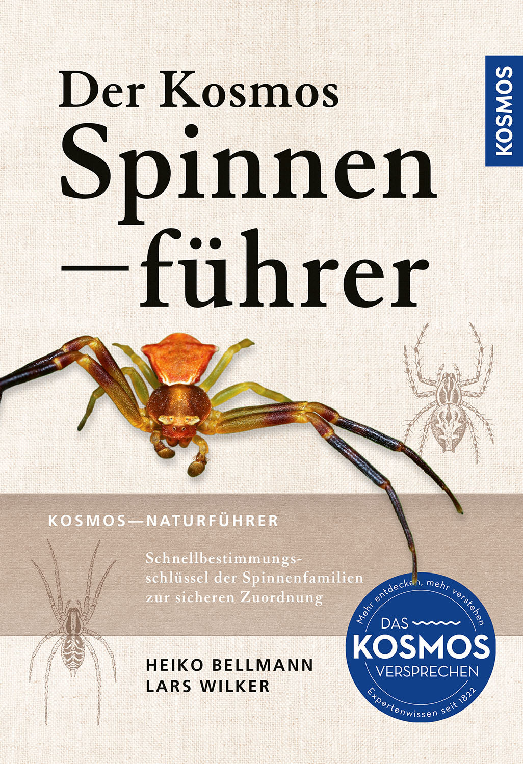 Der Kosmos Spinnenführer