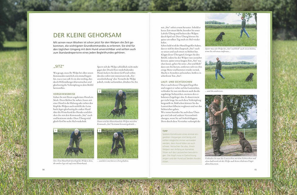 Vom Wolf zu moderner Früherziehung des Jagdhundes