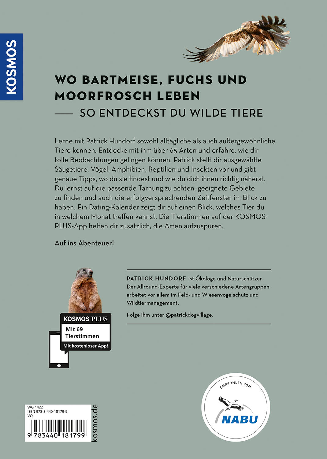 Observe animals with the wildlife guide