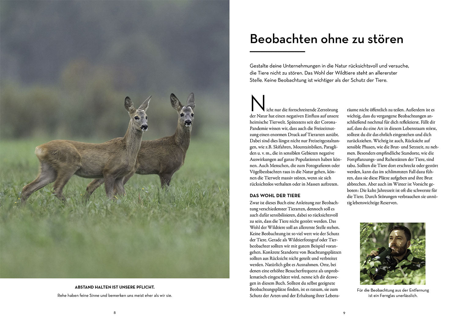 Tiere beobachten mit dem Wildtierguide
