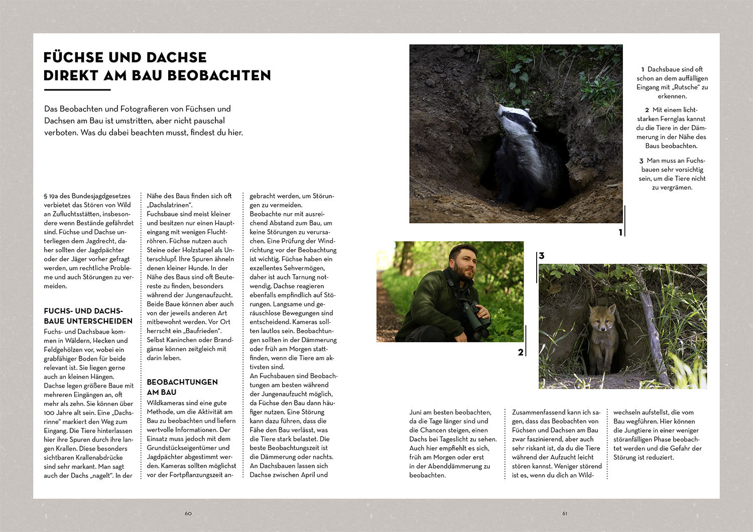 Tiere beobachten mit dem Wildtierguide