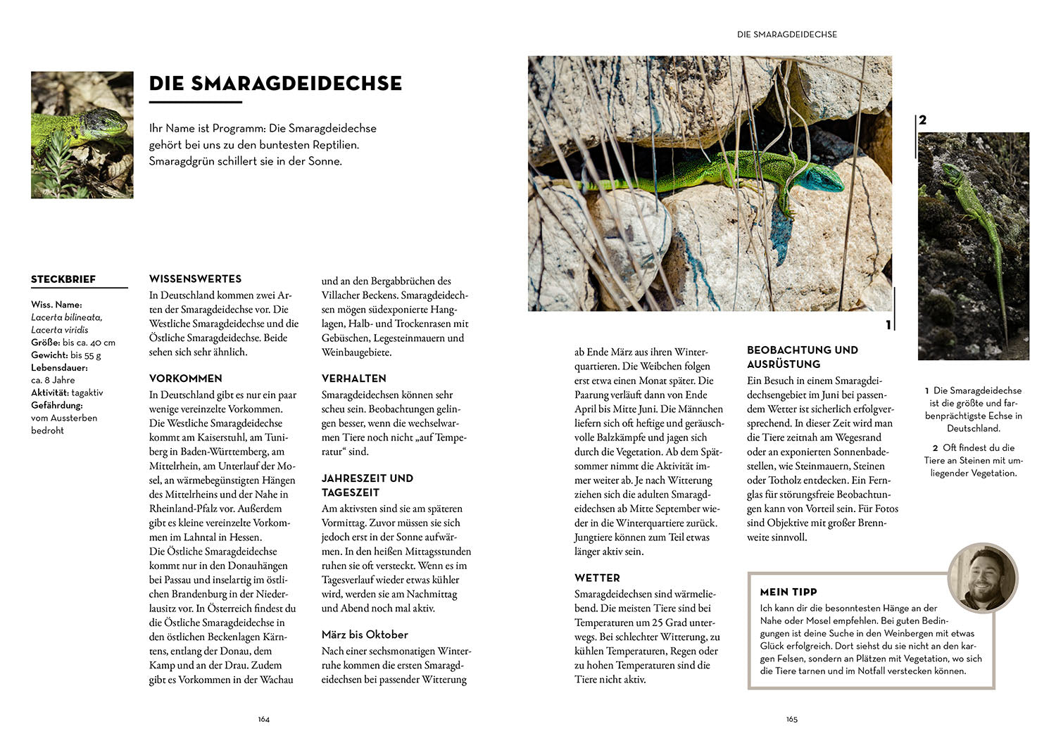 Observe animals with the wildlife guide