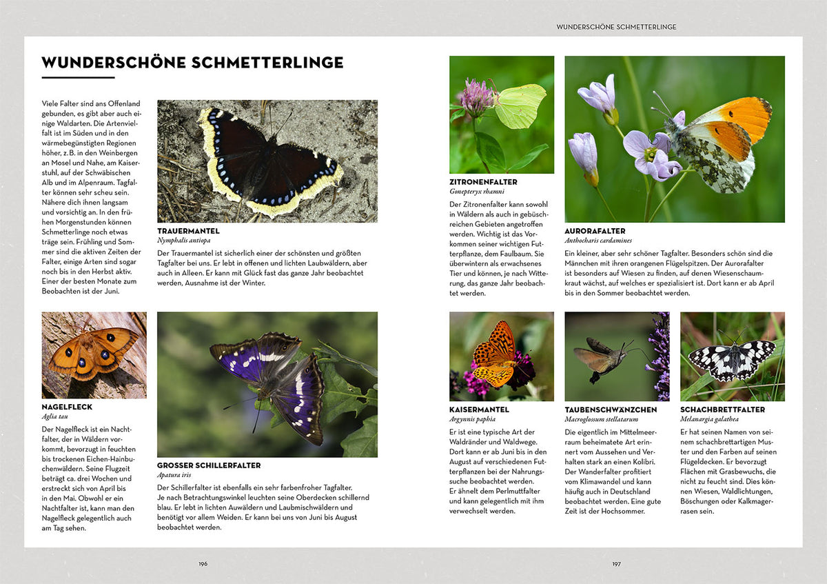 Tiere beobachten mit dem Wildtierguide