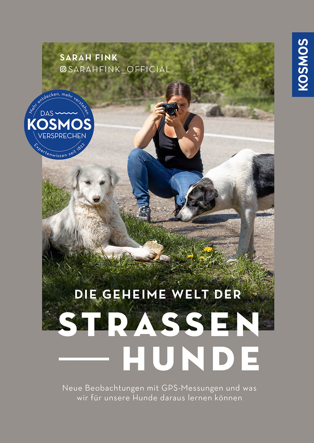 The Secret World of Street Dogs
