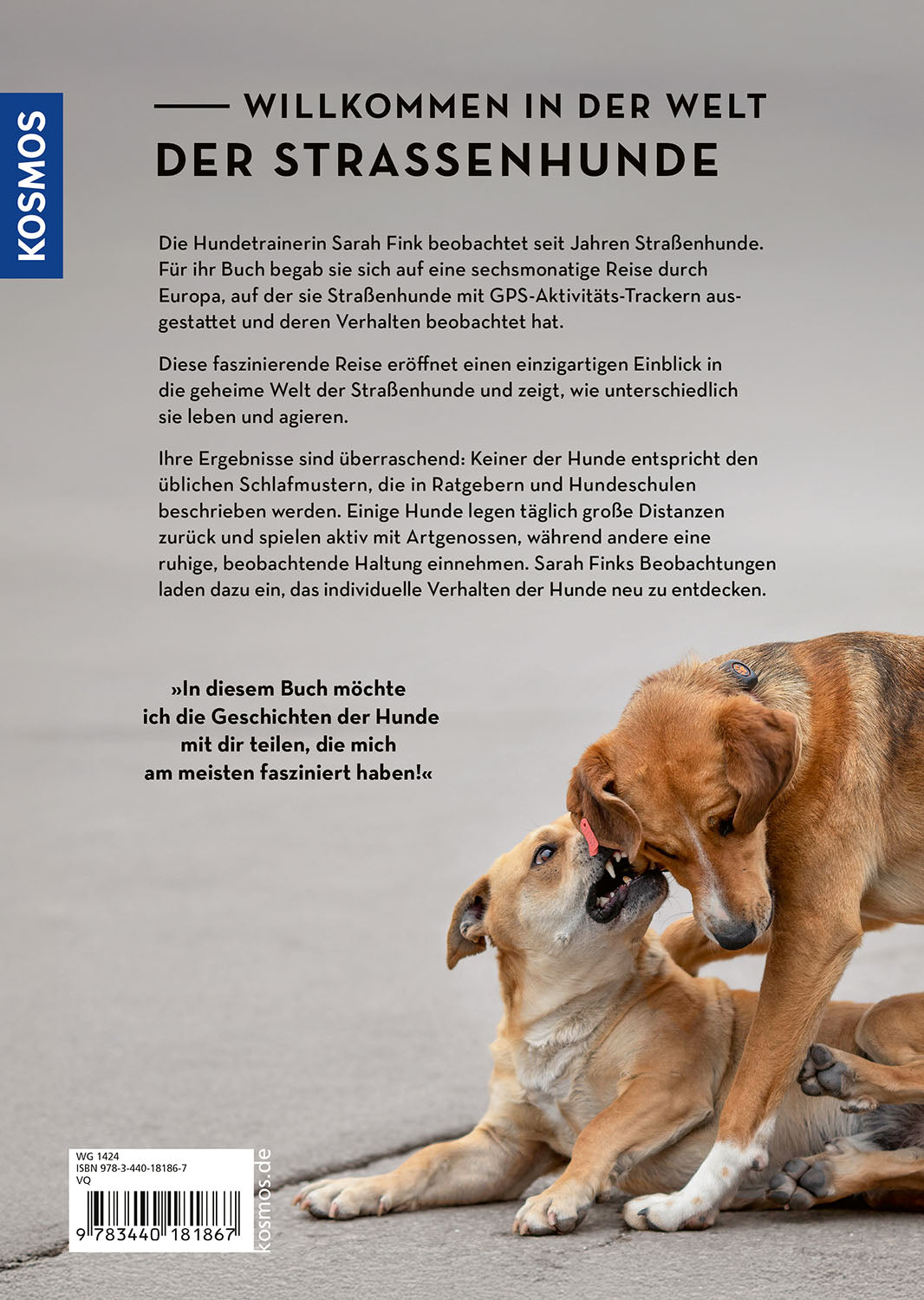 Die geheime Welt der Straßenhunde