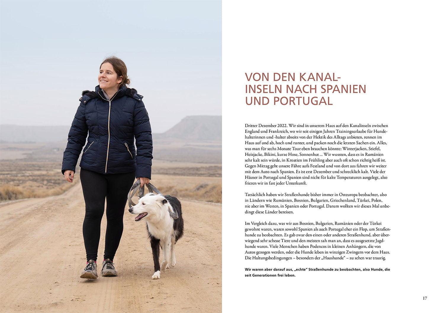 Die geheime Welt der Straßenhunde