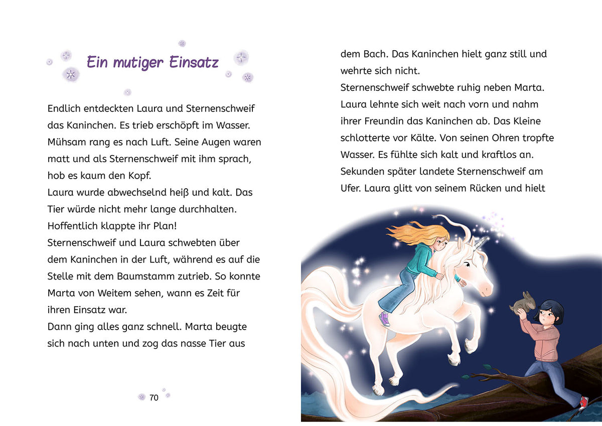 Sternenschweif, 3, Das Zauber-Zebra