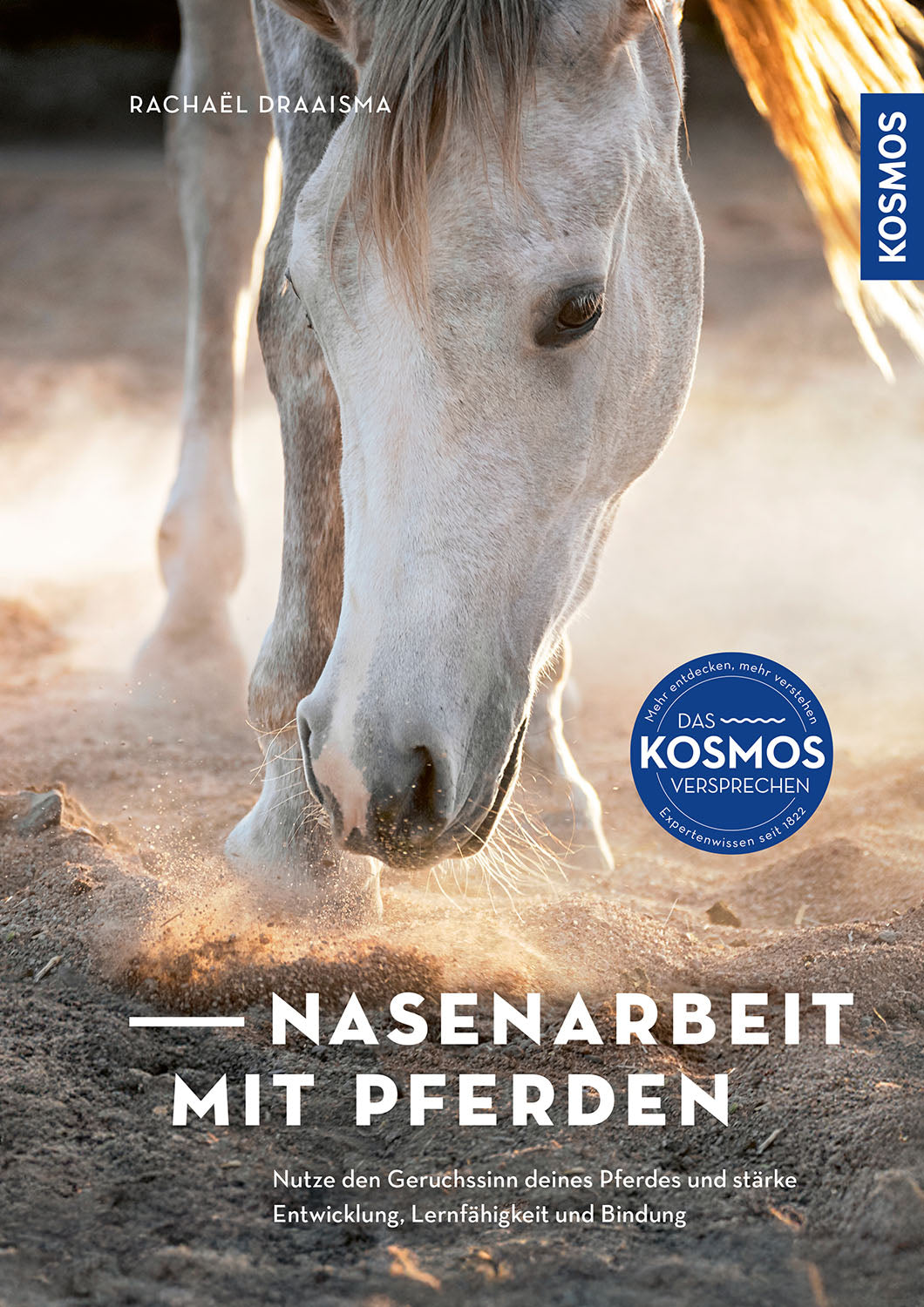 Nose work with horses