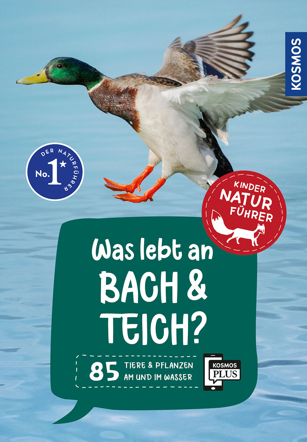What Lives by Streams and Ponds? Children's Nature Guide