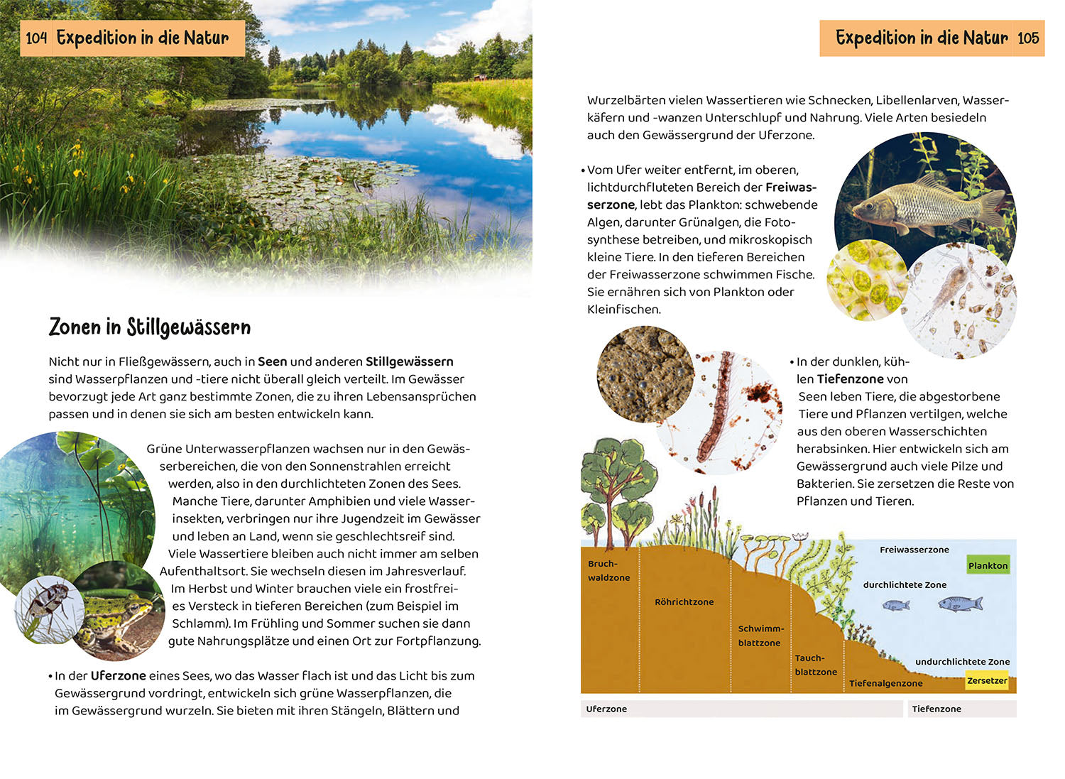 Was lebt an Bach und Teich? Kindernaturführer