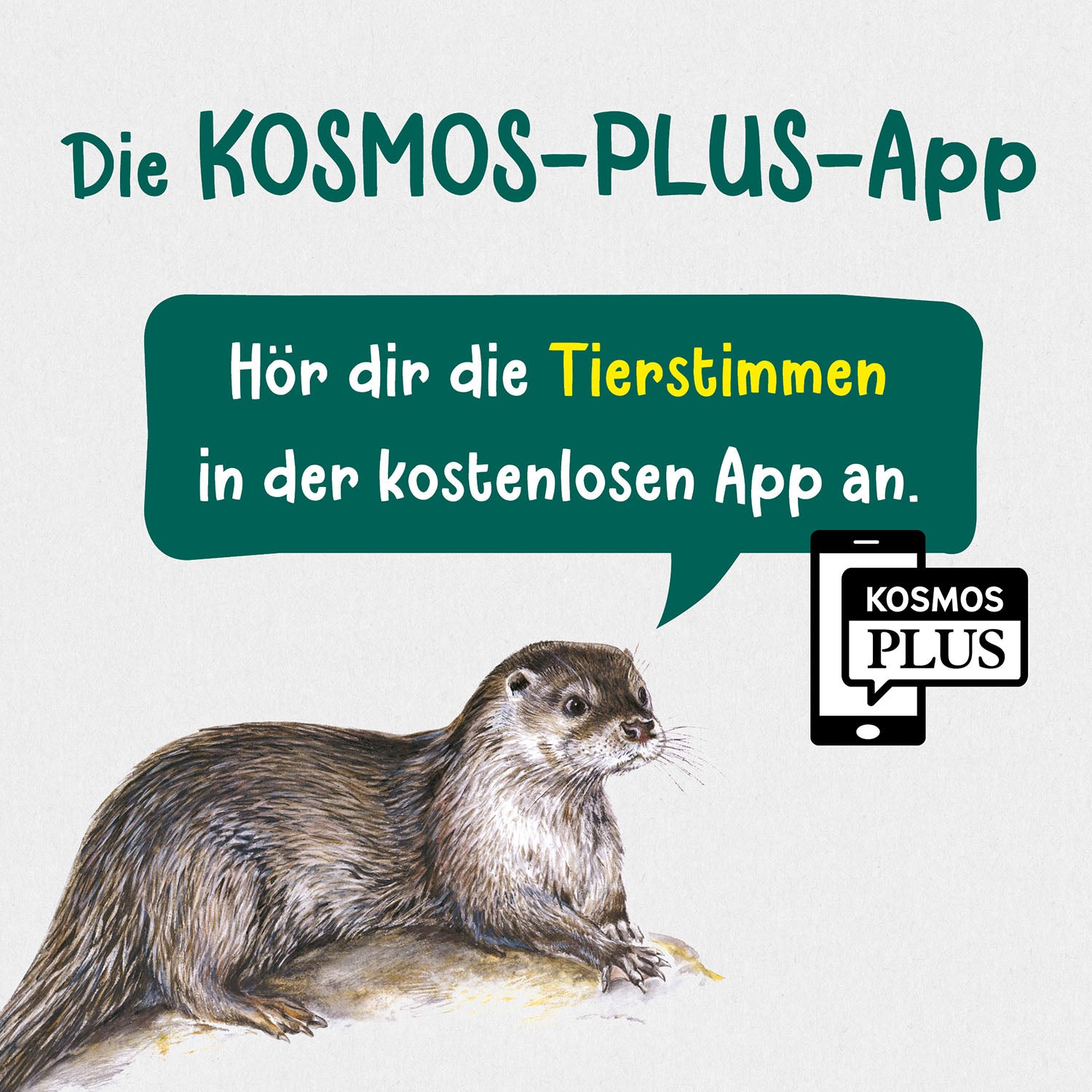 Was lebt an Bach und Teich? Kindernaturführer