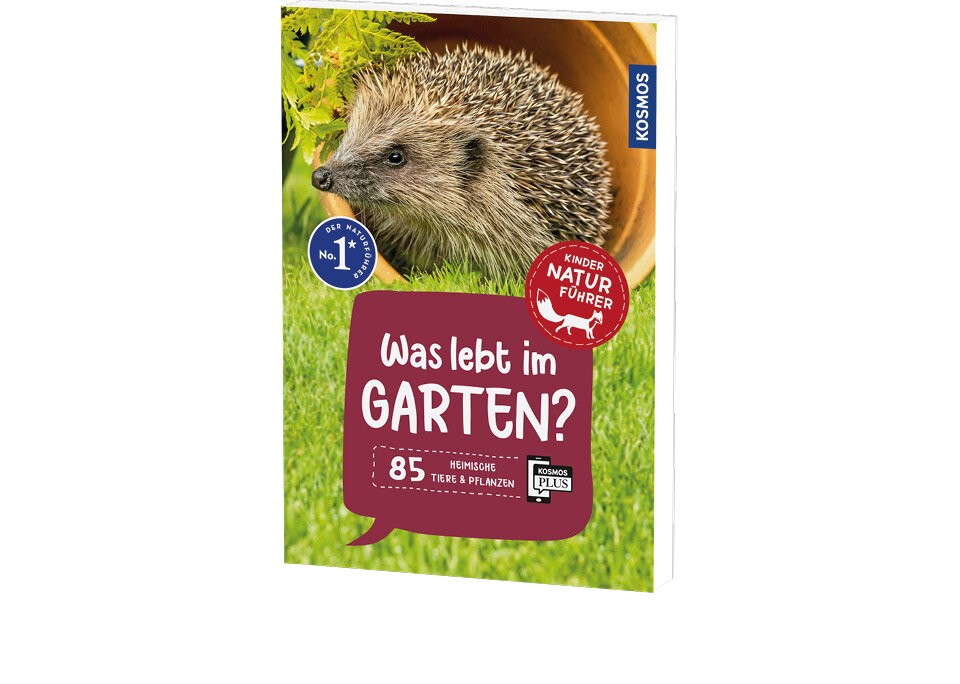 Entdecken, erkennen und erleben