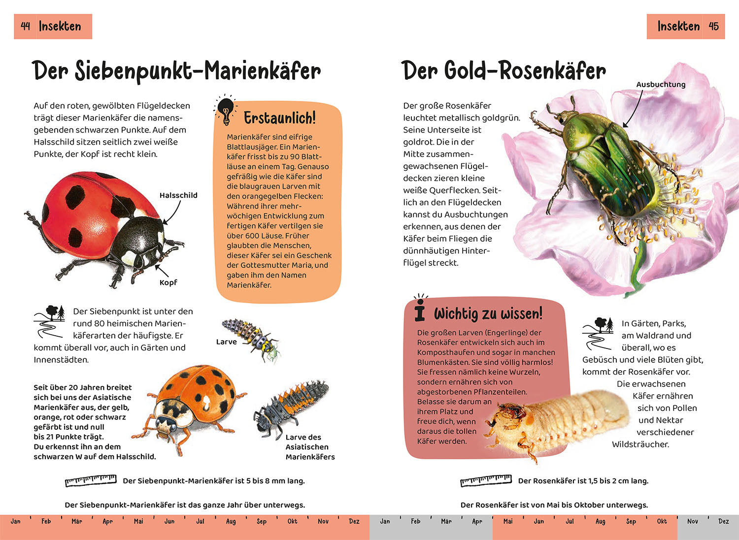 Was lebt im Garten? Kindernaturführer