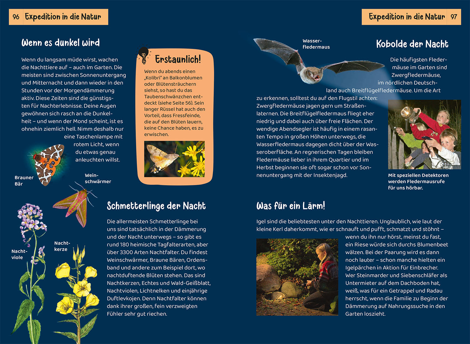 Was lebt im Garten? Kindernaturführer