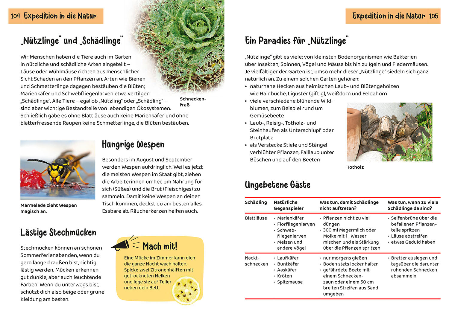 Was lebt im Garten? Kindernaturführer