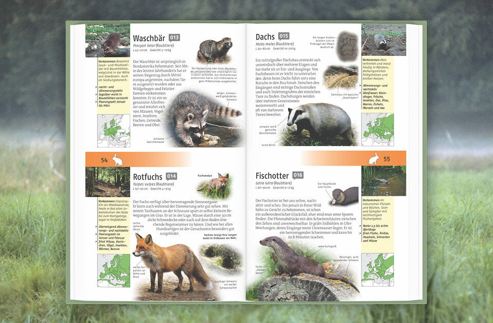 Natur erleben mit der KOSMOS-PLUS-App!
