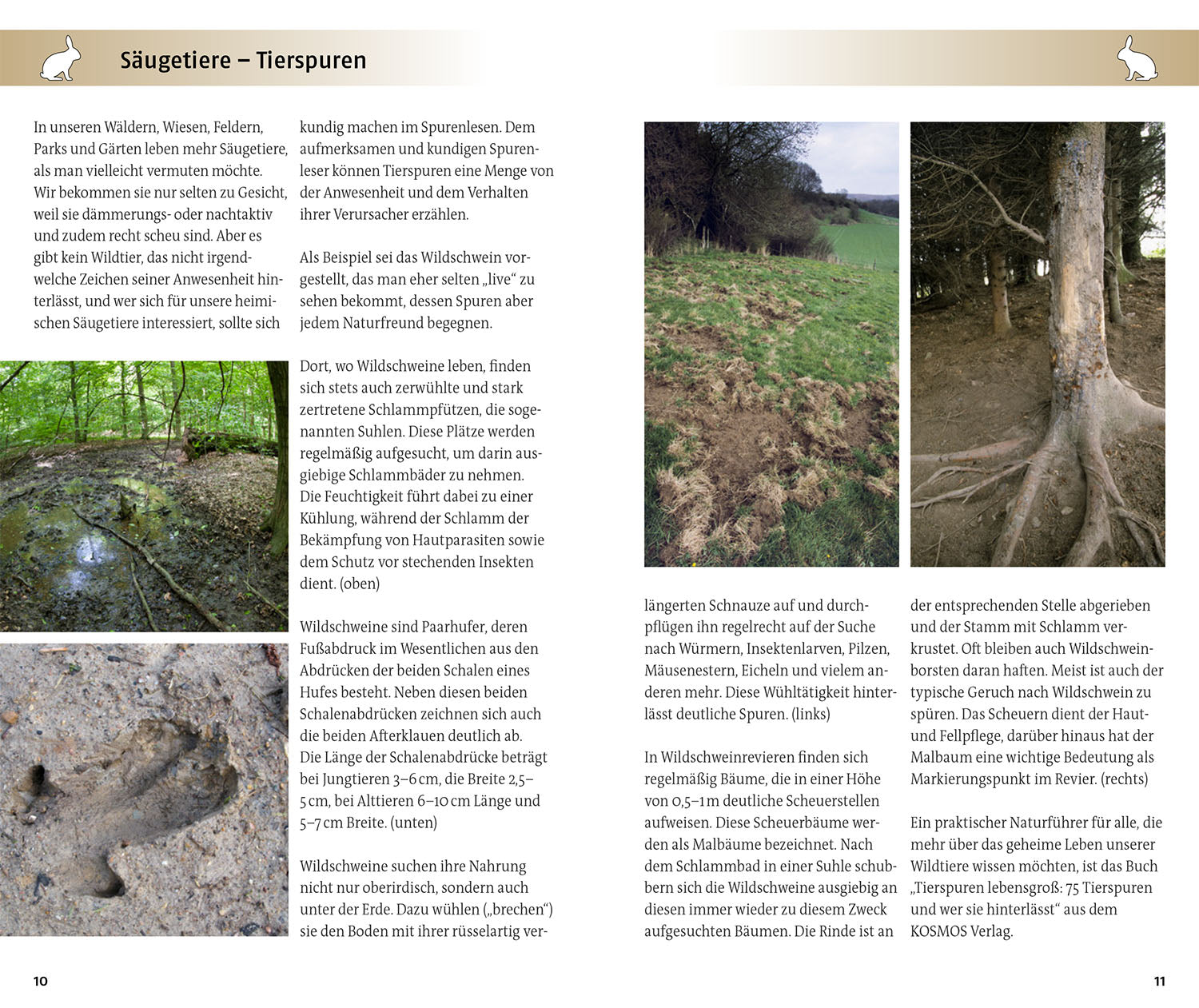 The Kosmos Guide to Animals and Plants