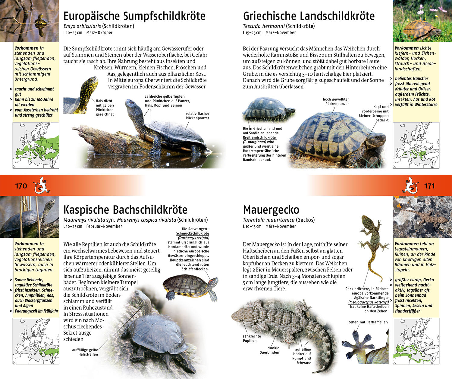 The Kosmos Guide to Animals and Plants