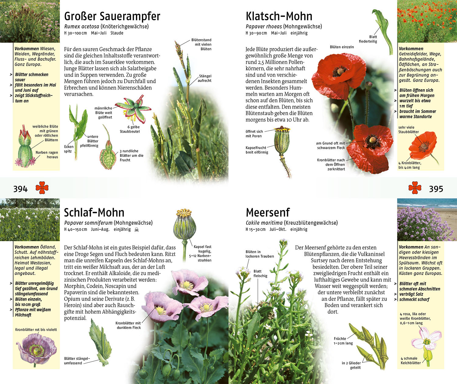 The Kosmos Guide to Animals and Plants