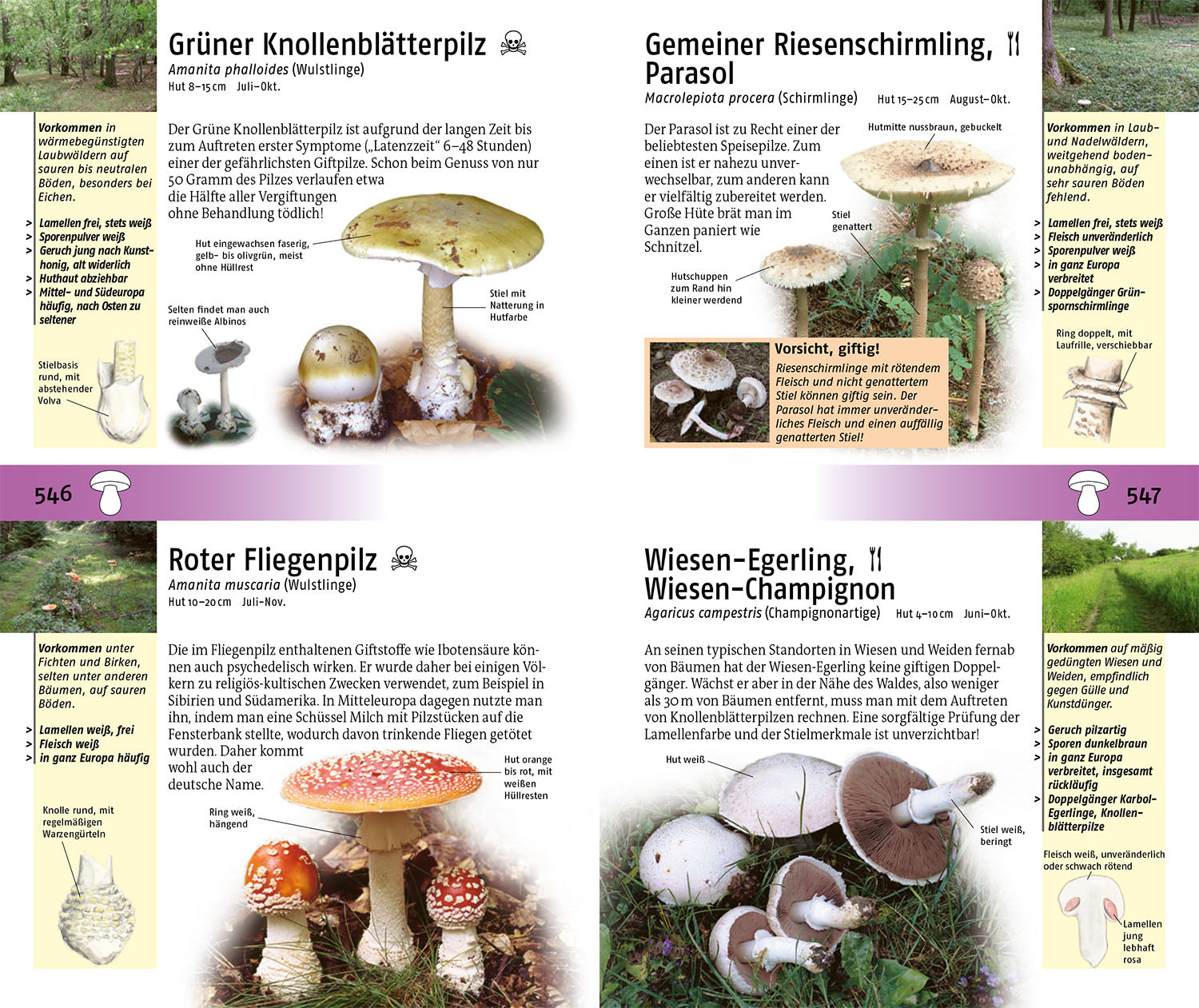 The Kosmos Guide to Animals and Plants