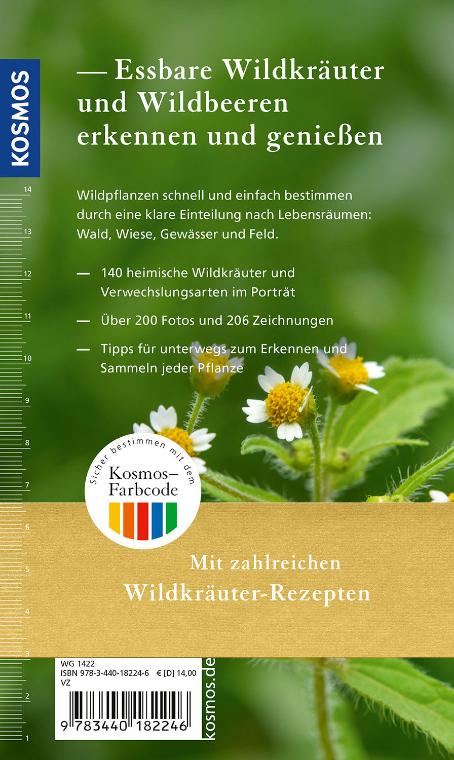 Edible wild herbs and berries for on the go