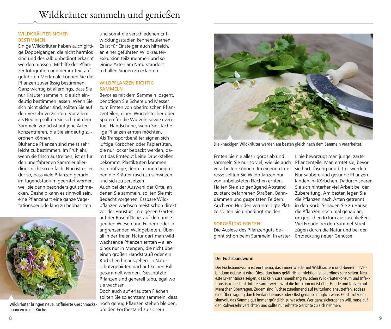 Edible wild herbs and berries for on the go
