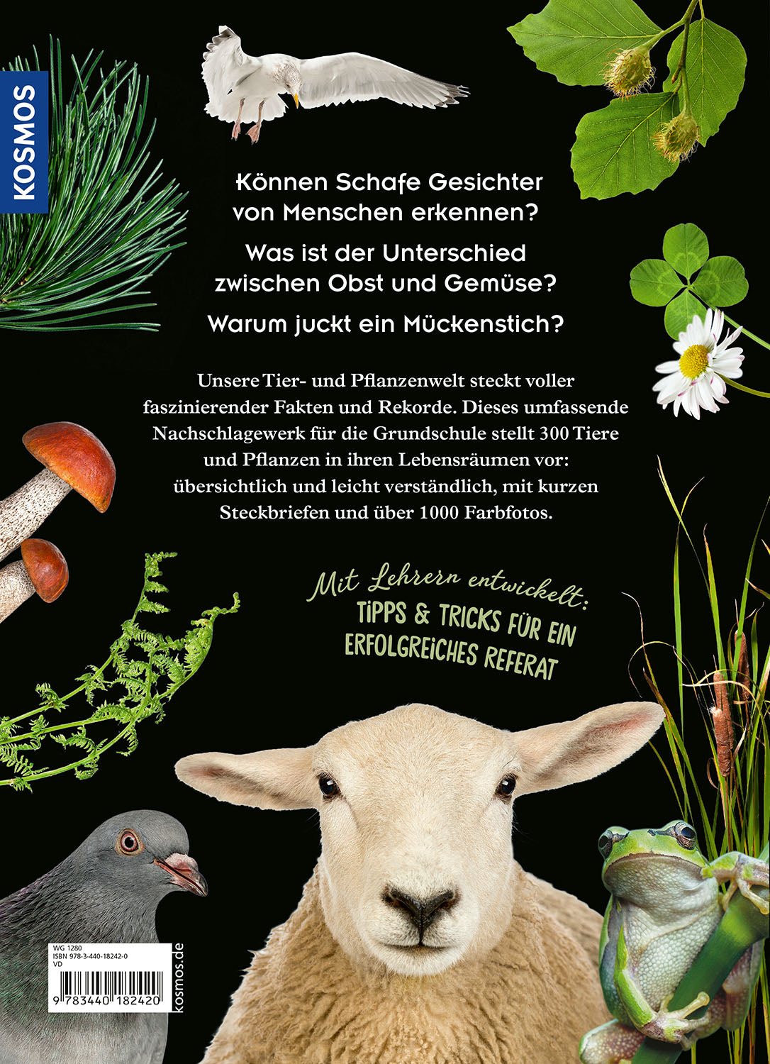 Mein Kosmos Grundschullexikon Tiere & Pflanzen