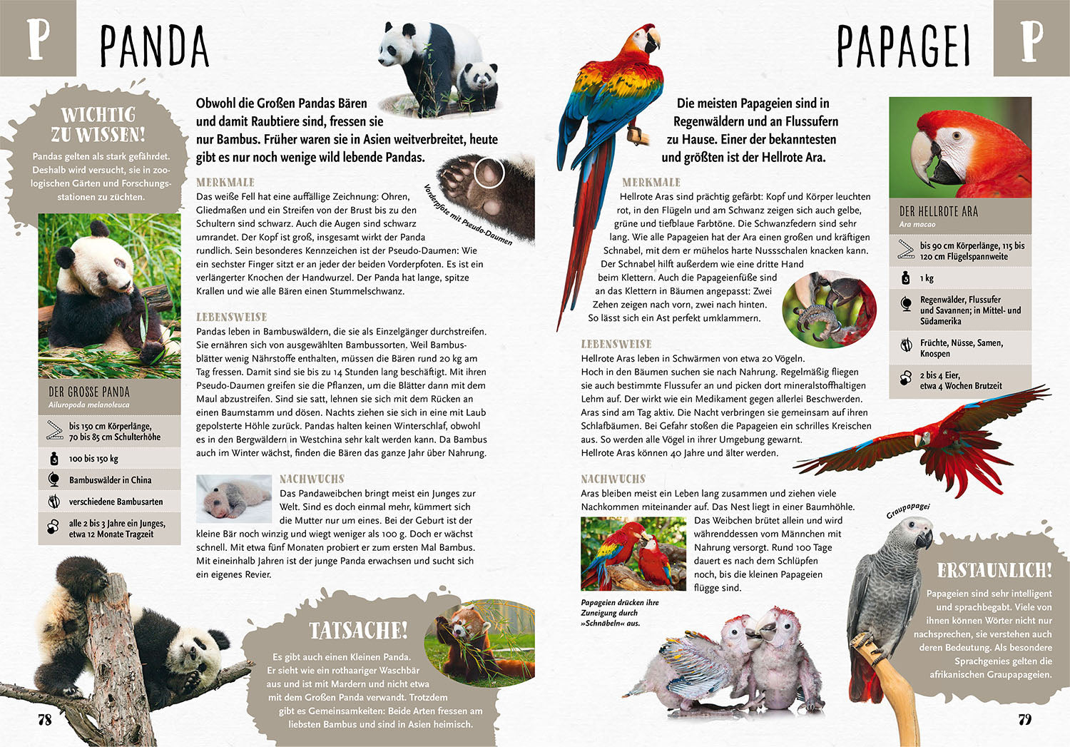 Mein Kosmos Grundschullexikon Tiere & Pflanzen