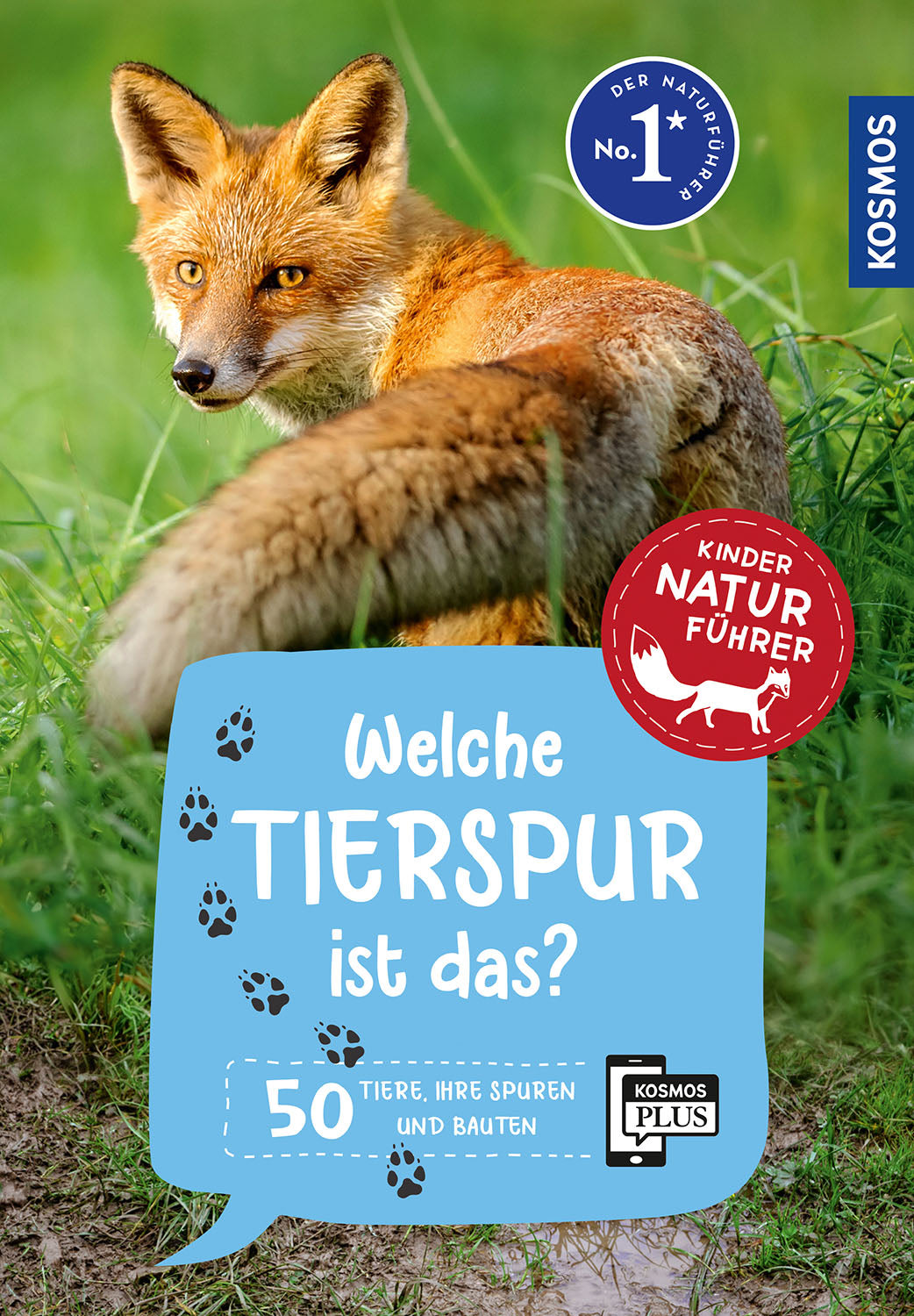 What animal track is this? Children's nature guide