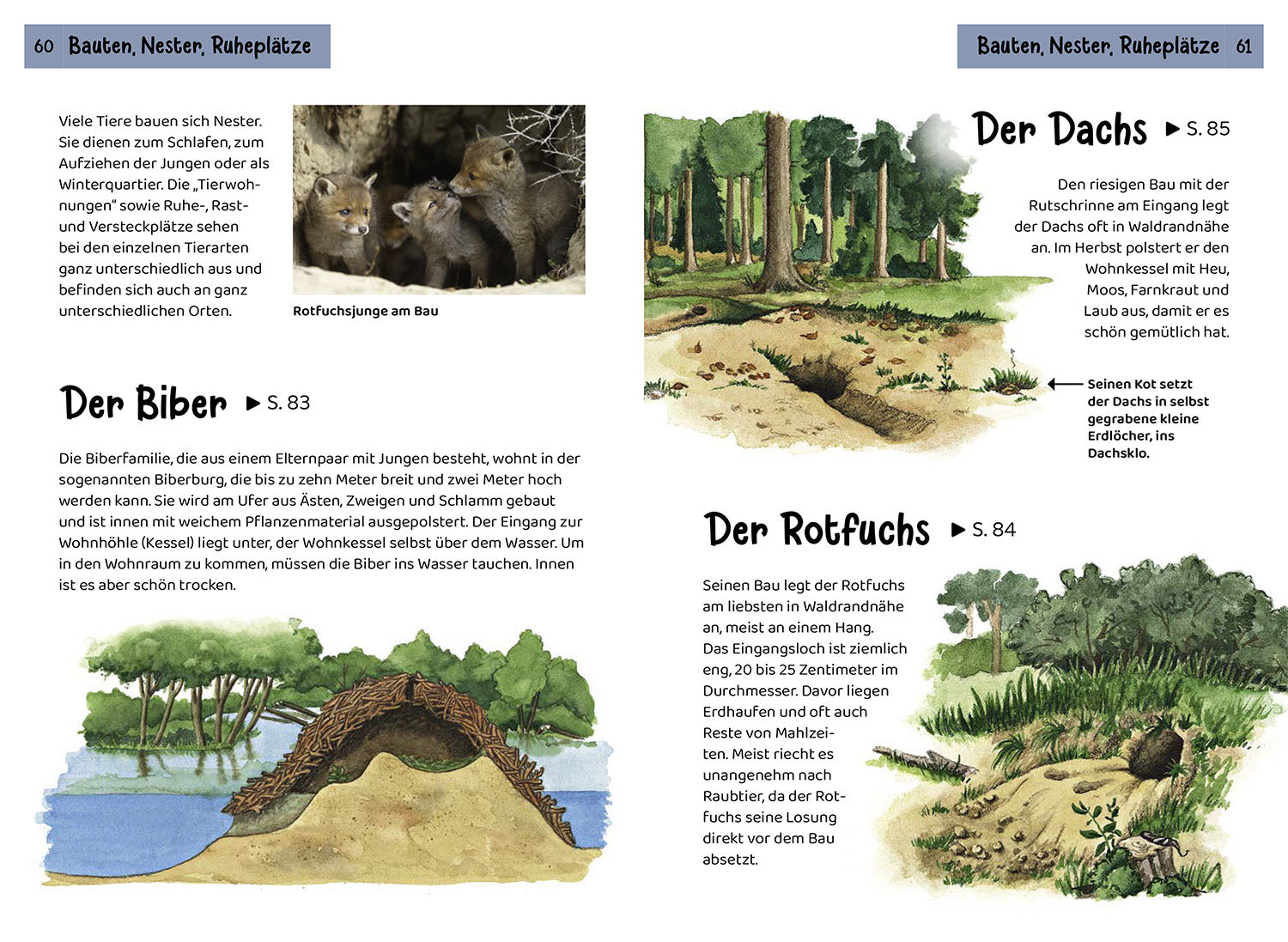 What animal track is this? Children's nature guide