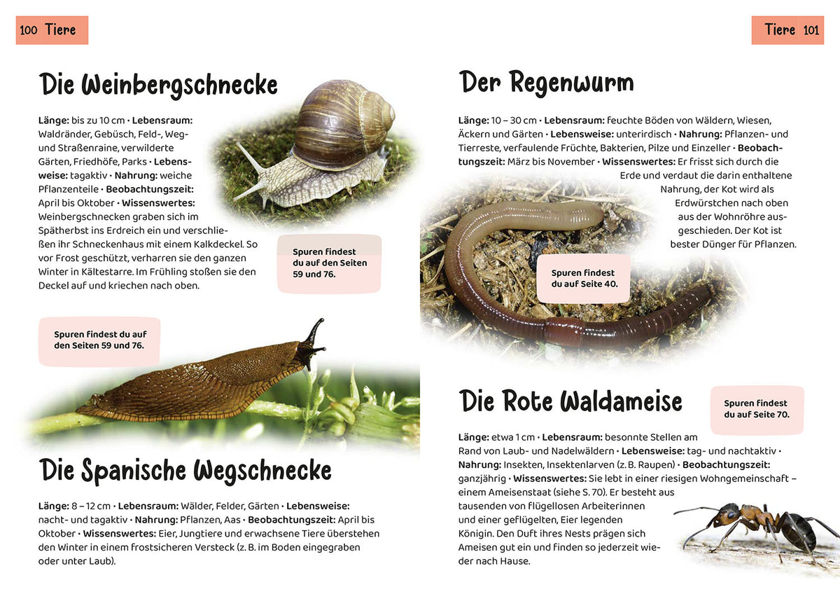 Welche Tierspur ist das? Kindernaturführer