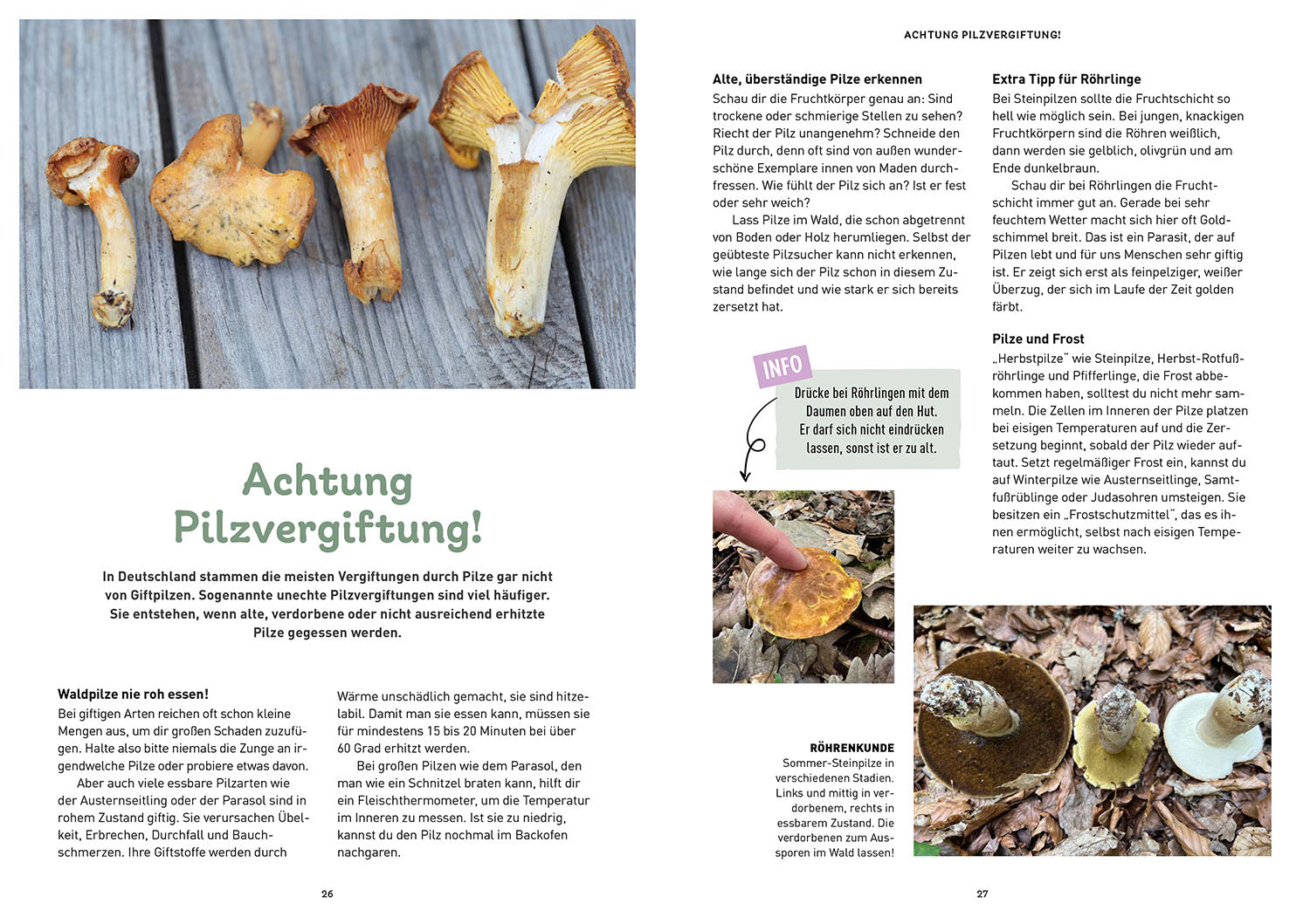 The Mushroom Book for Kids