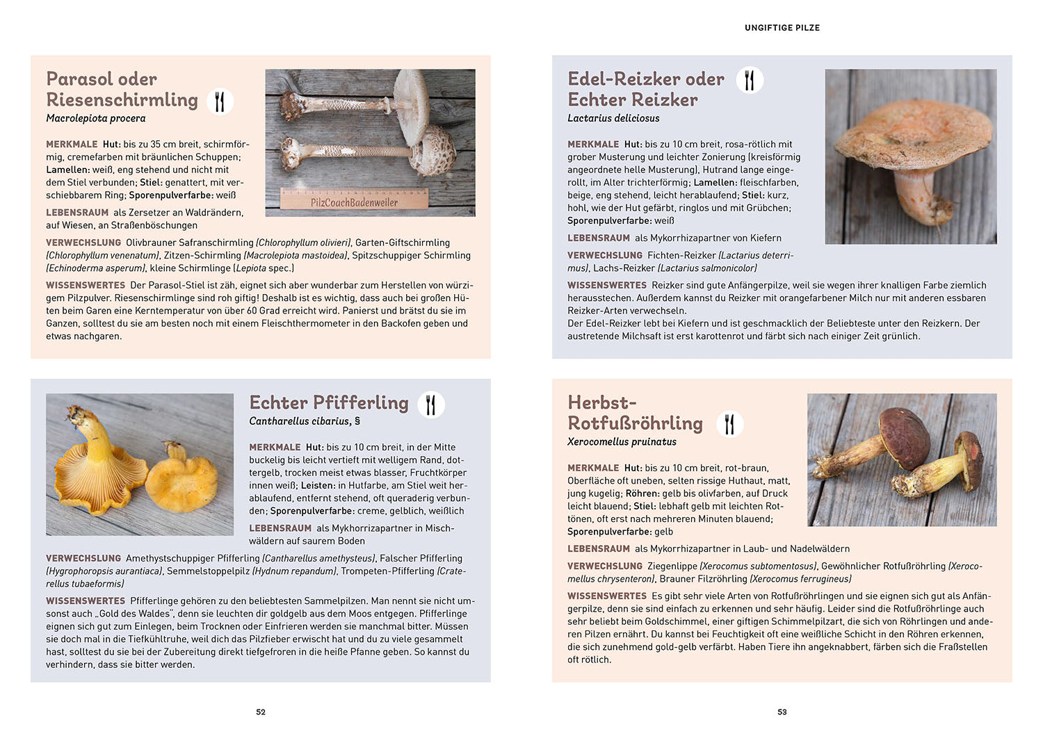 The Mushroom Book for Kids