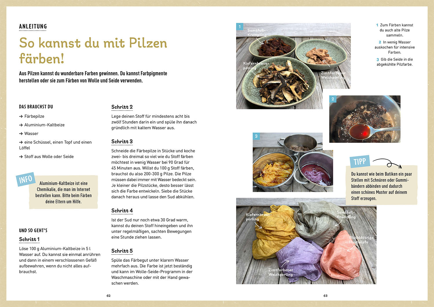 Das Pilzbuch für Kids
