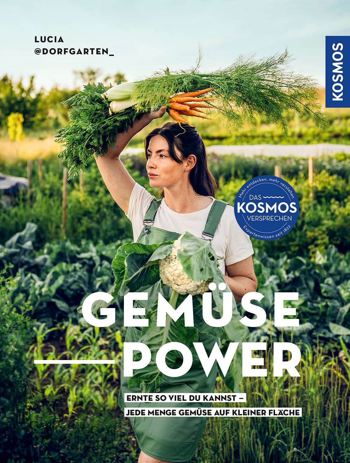Gemüsepower