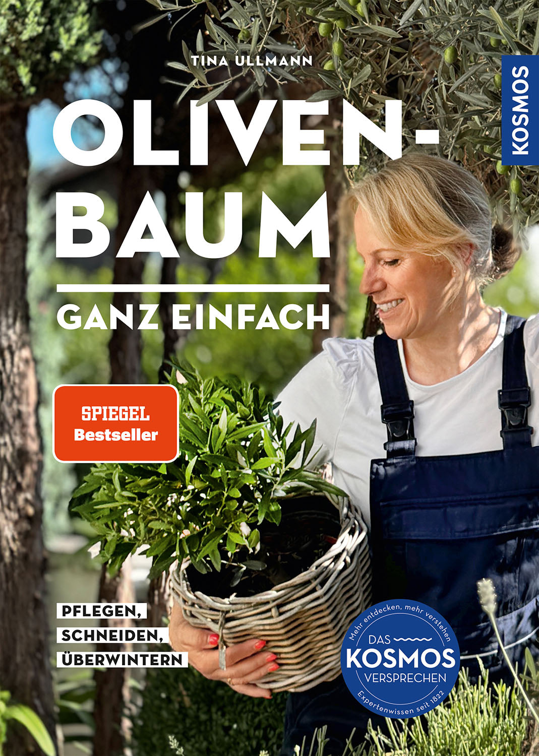 Olive Tree Made Easy