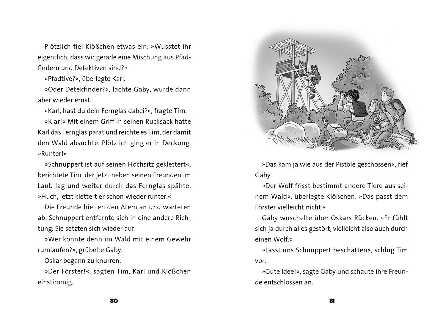 TKKG Junior, Wolfsnächte