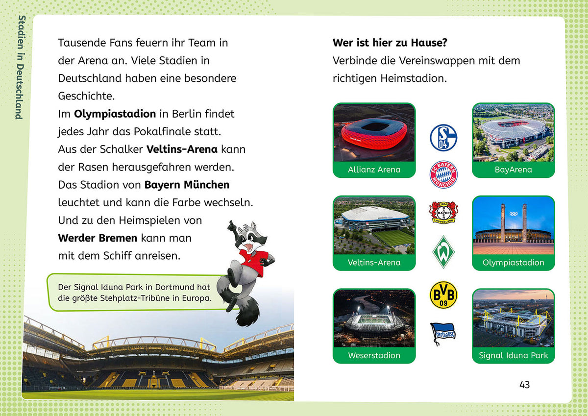 kicker Kids, Learn to Read with Football Puzzles,
