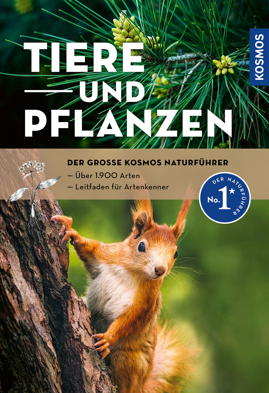 The Big Cosmos Guide to Animals and Plants