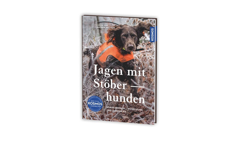 Erfolgsfaktor Stöberhund