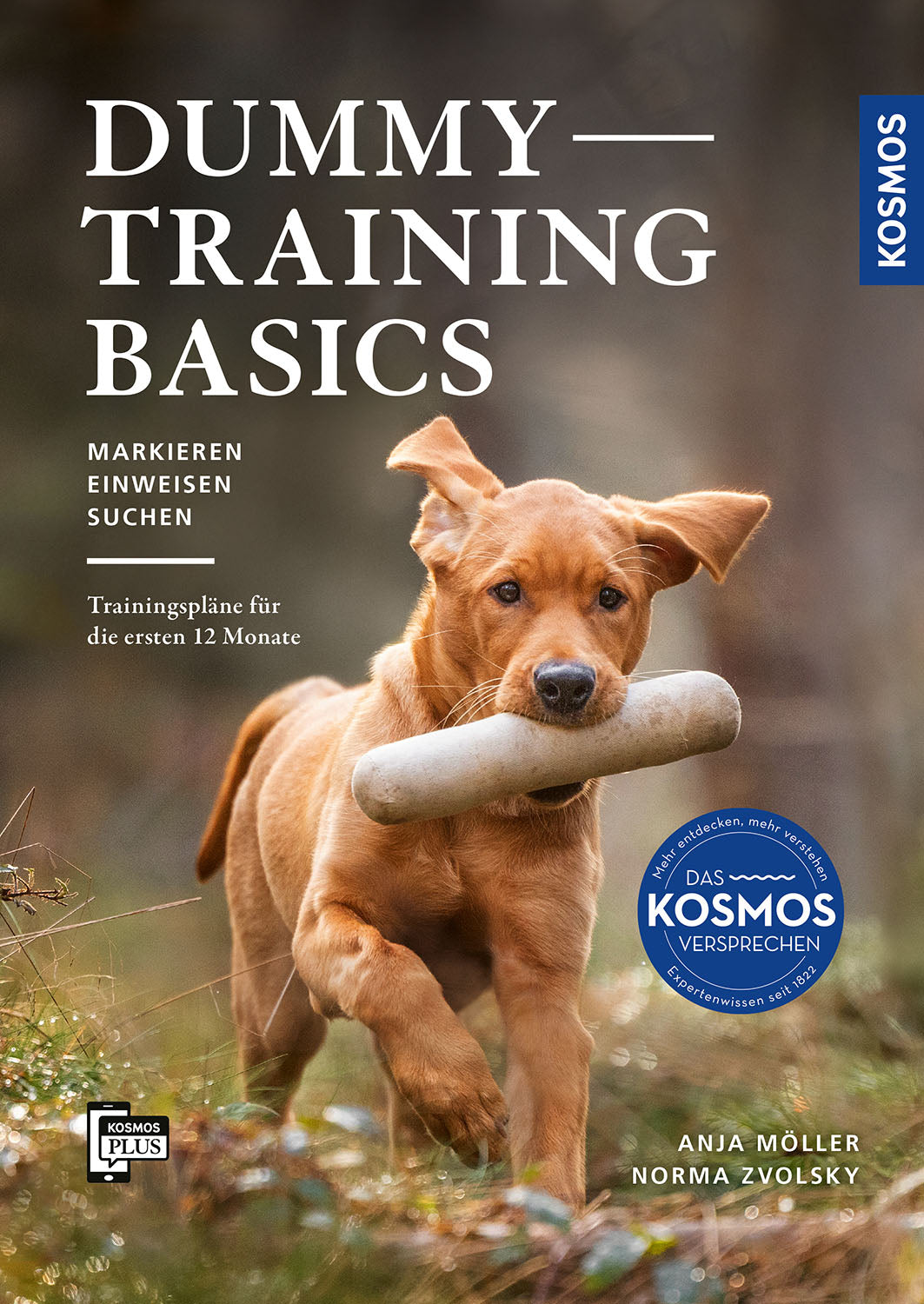 Dummytraining - Basics