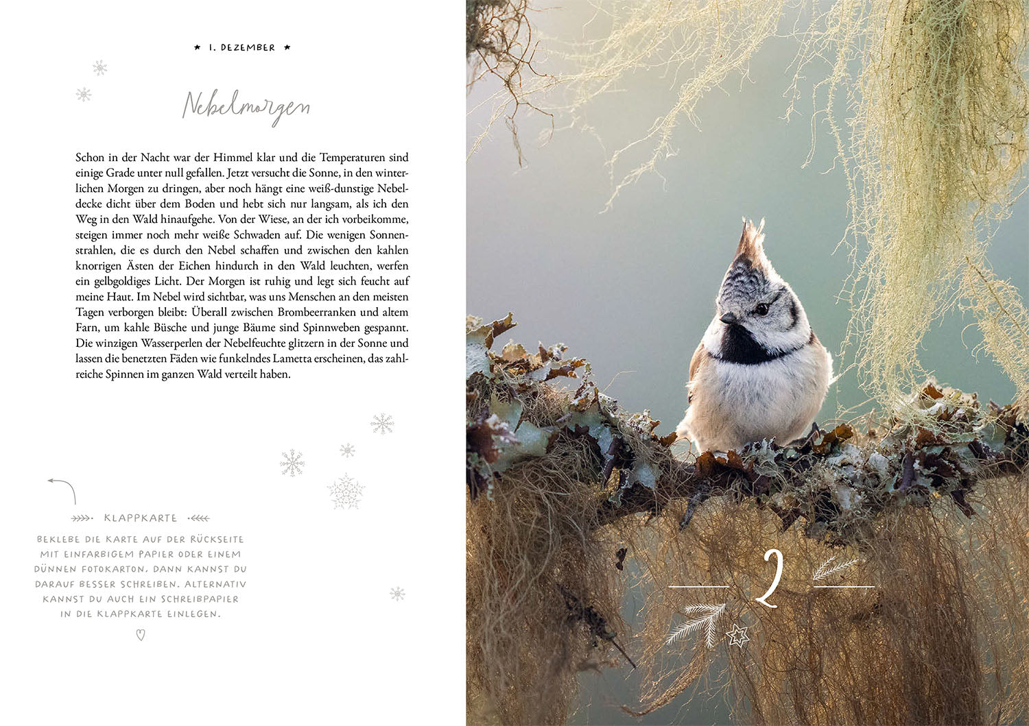 Winter Moments in Nature – der Adventskalender