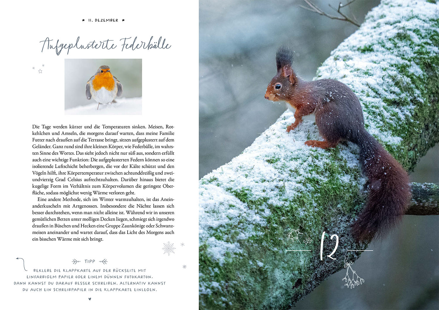 Winter Moments in Nature – der Adventskalender