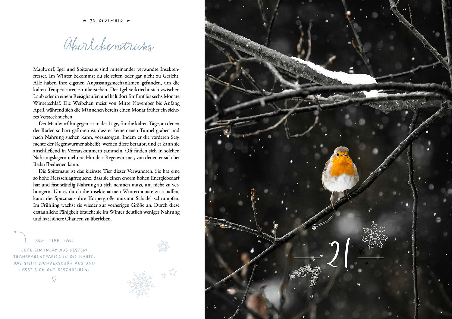 Winter Moments in Nature – der Adventskalender