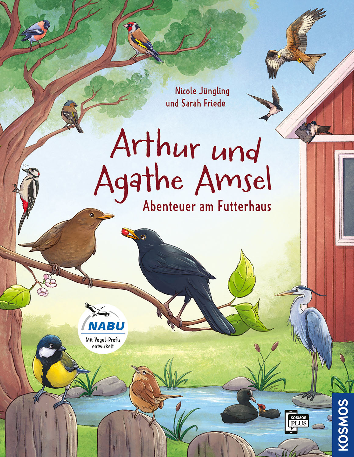 Arthur & Agathe Blackbird - Adventures at the Bird Feeder