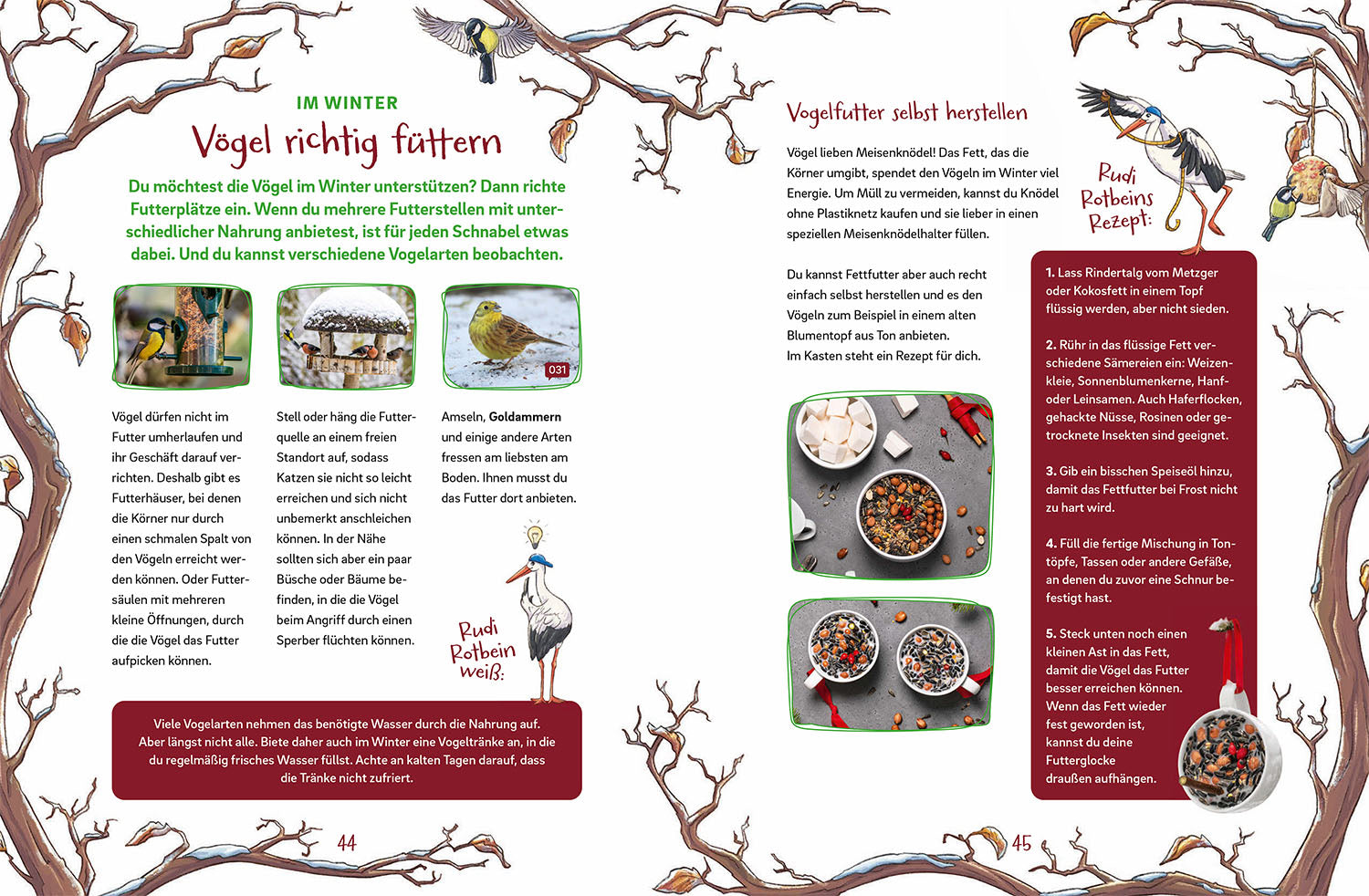 Arthur & Agathe Blackbird - Adventures at the Bird Feeder