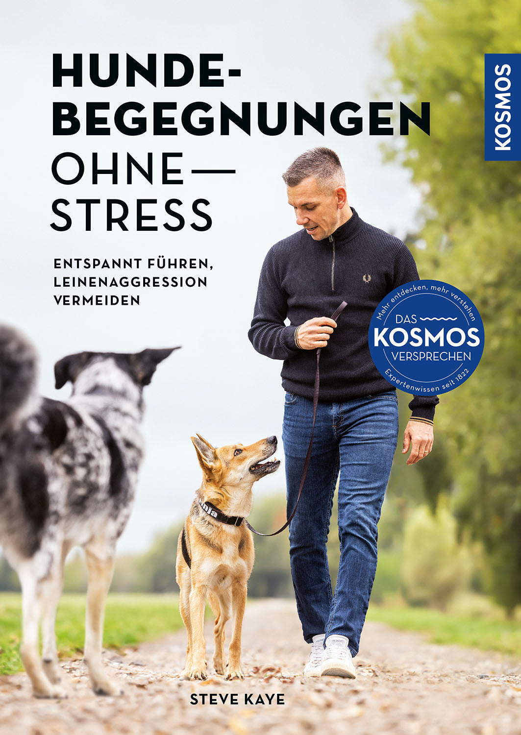 Stress-Free Dog Encounters