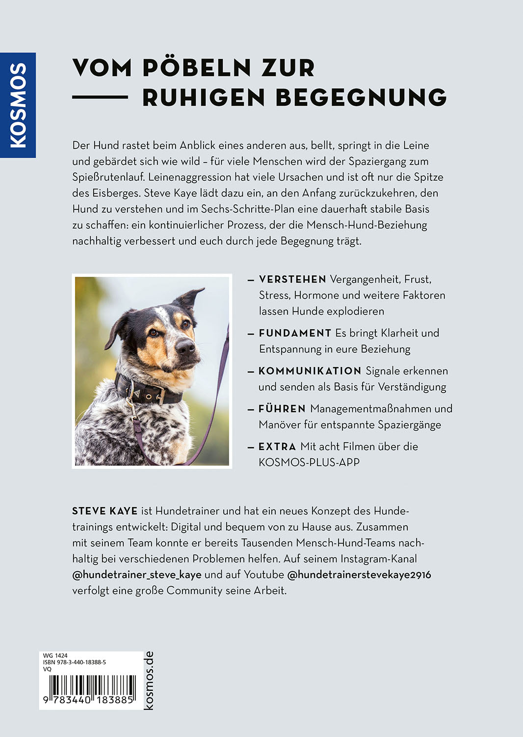 Hundebegegnungen ohne Stress